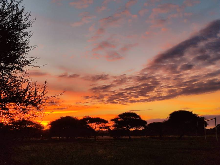 African sunset over acacia trees