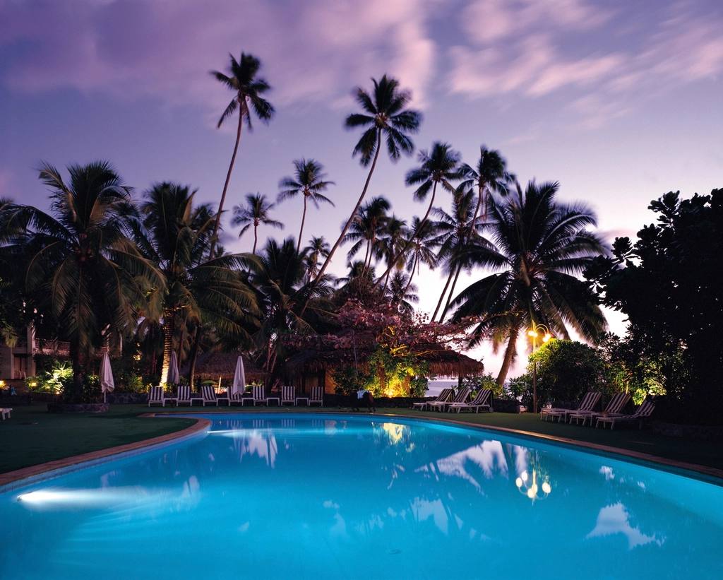 Hotel pool framed by palm trees at dusk